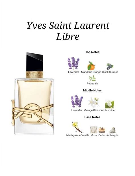 ysl edp top notes